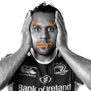 leinster-campaigns-315x315